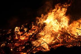 burning tree branches