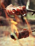 roast sausage on a campfire on a stick