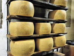 dairy products