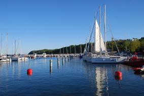 yachts in the harbor by the sea