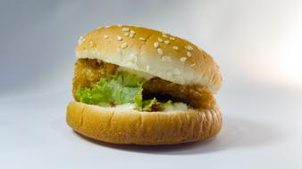 delicious meat burgers