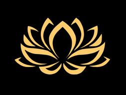 flower gold golden lotus