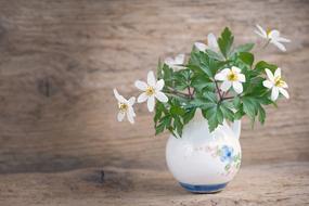 Flowers in a white vase