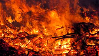 big fire in the forest
