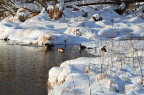 Winter Time 2