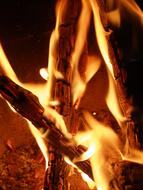 wall of fire in the branches