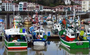fishing port with boats
