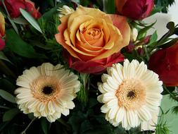 Bunch Of Flowers Rose Gerbera Cut