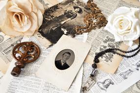 Vintage Antique Rose