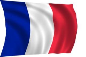 France national flag in the wind