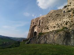 overgrown castle in a meadow