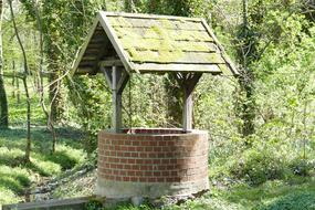 stone well in the moss