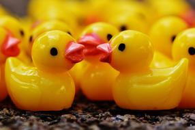 Ducks Figures Group