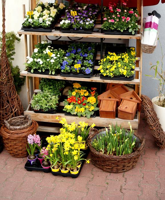 Flowers Flower Sale The