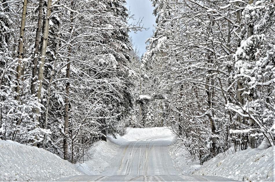 Wintry Rural Road
