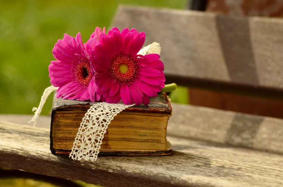 pink gerberas on old book
