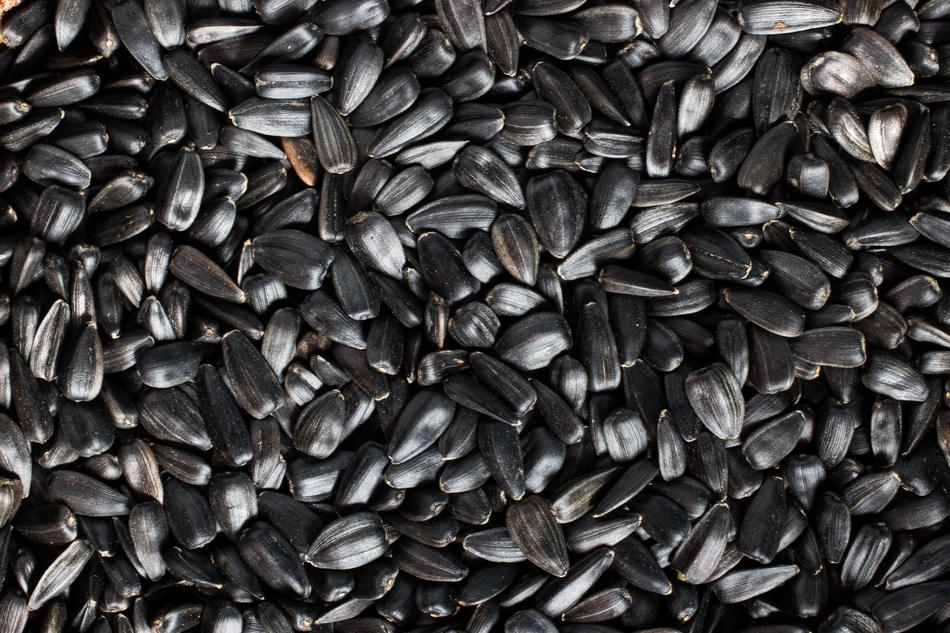 Sunflower Seeds