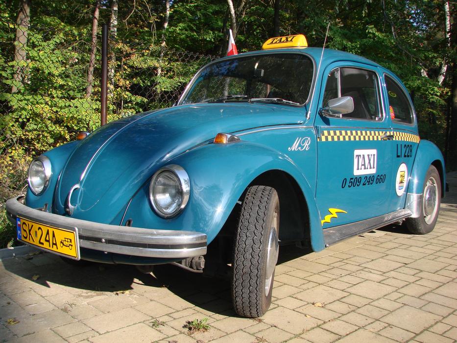 Blue Vw The Beetle