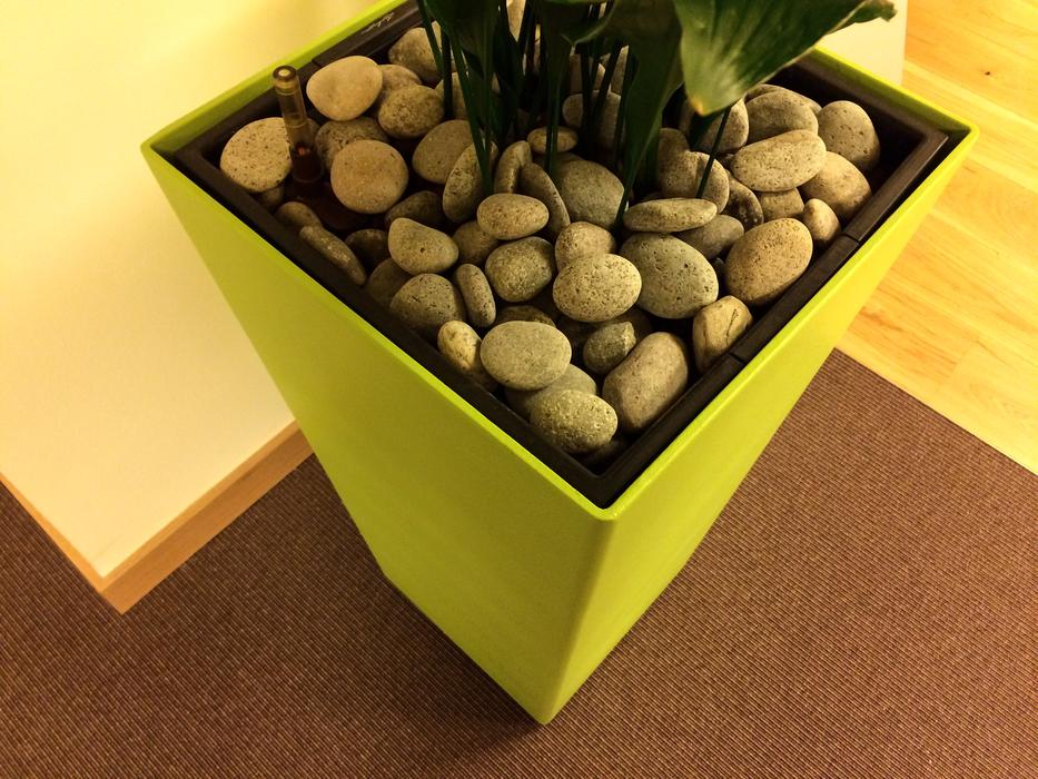 stones decorating the yellow pot