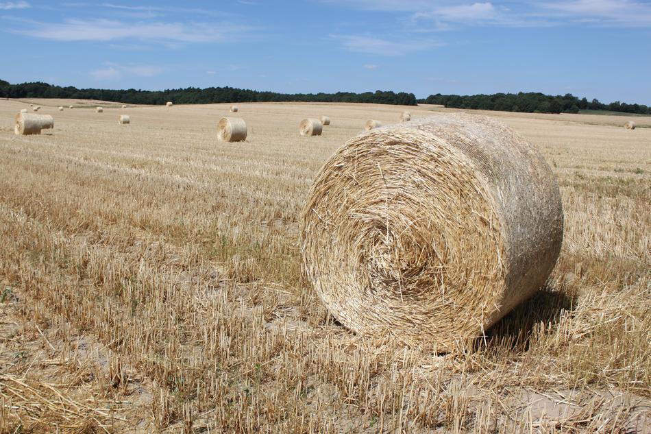 straw bale in a dry field