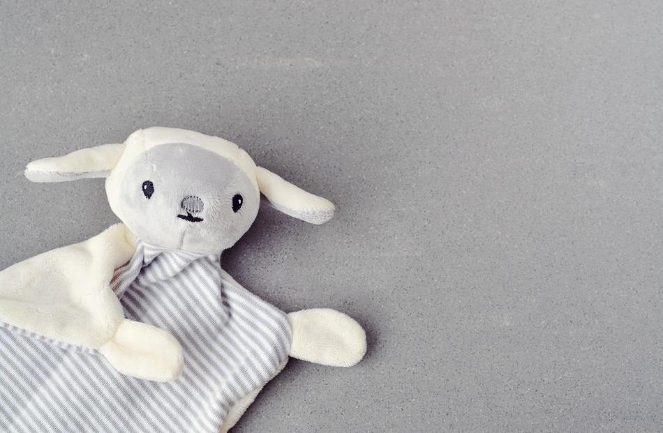 Toys Doudou Cuddle Cloth