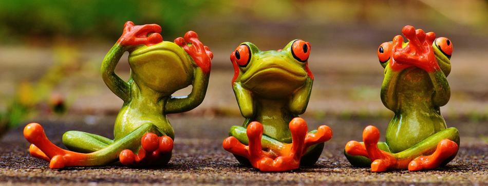 Cute colored frogs