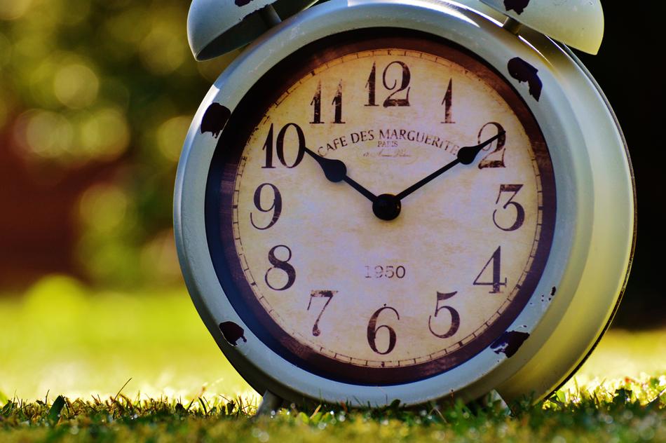 alarm clock on the grass in the sunlight