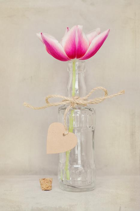 Tulip Flower in glass bottle with paper heart