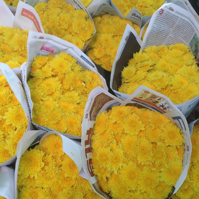 Flower Yellow Market