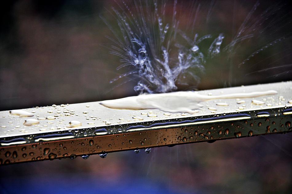 splash water on the fence