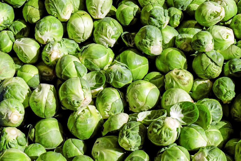 Kohl Rosenkoehlchen Cabbage