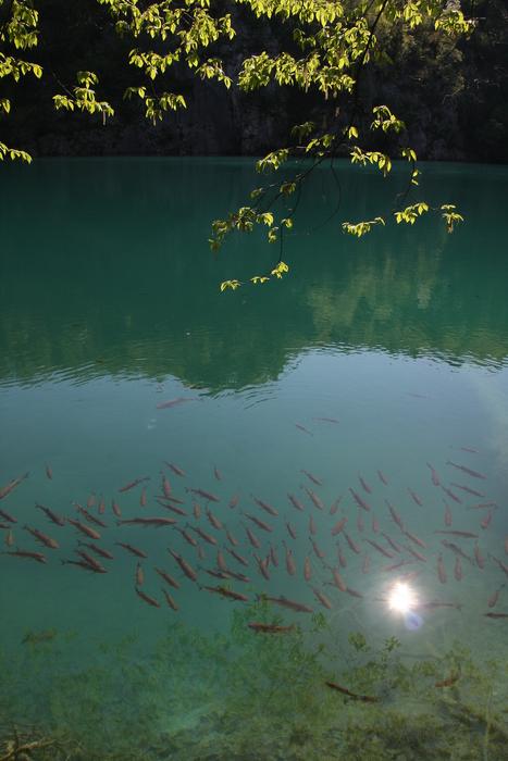 Plitvice Nature Landscape
