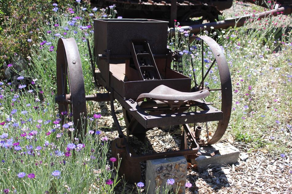 Old Plow Antique