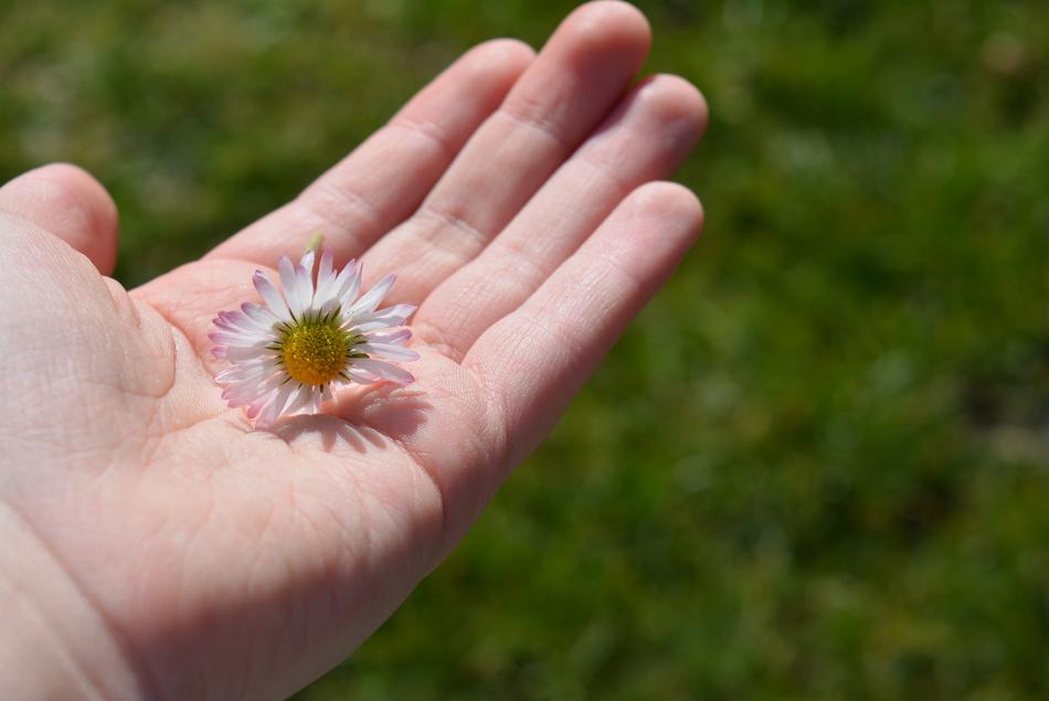 Hand Daisy Satisfaction