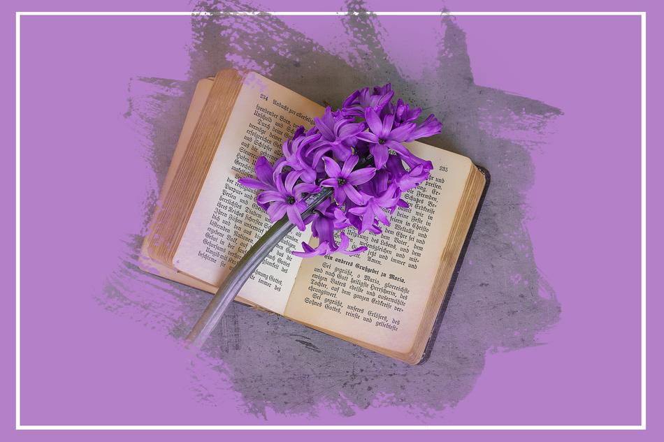 Hyacinth Flower Flowers