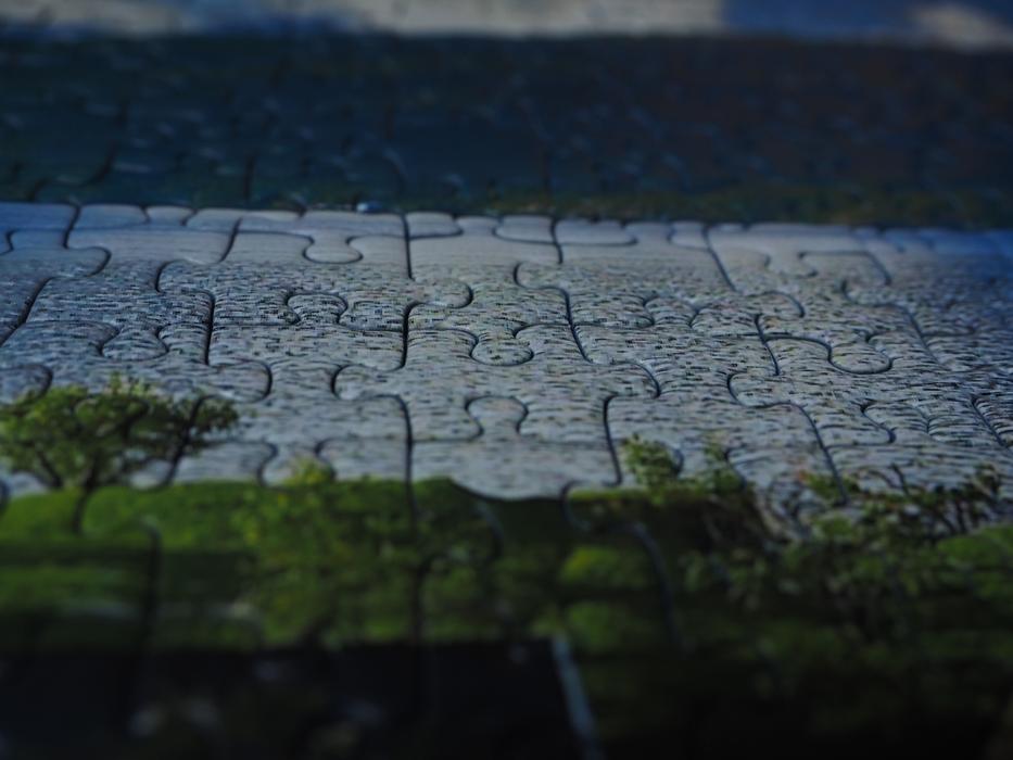 Puzzle Pieces Of The Mesh