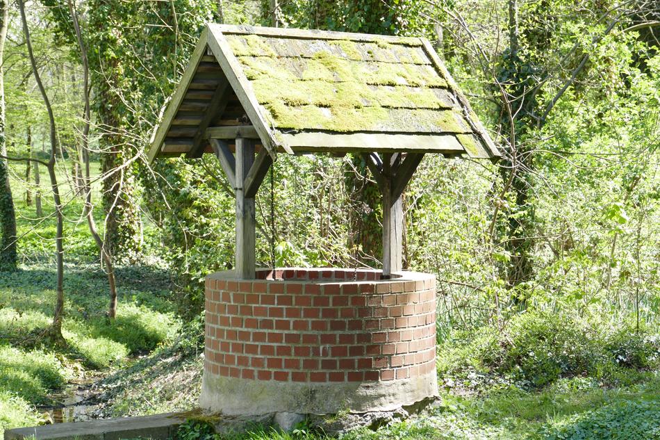 stone well in the moss