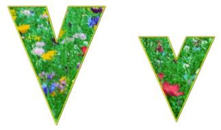 letter v with a floral background