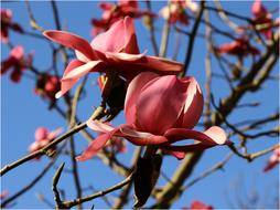 Small Valley Stang Alar Brest