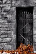 iron bars on a wooden door