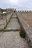 Red Flower Wall