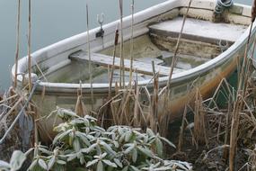 wooden boat in the reeds in the river