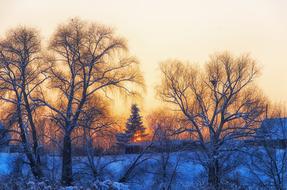 Village Countryside in Winter