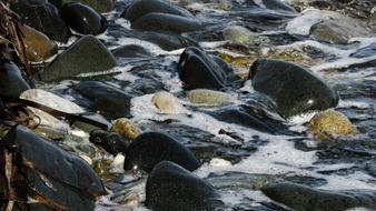 sea Pebble Beach Stones