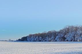 Landscape Trees Winter Impressions