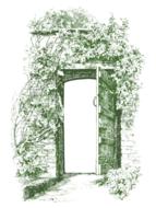 vintage wall gate ivy old door