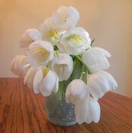 Flower Tulip White Bouquet Of