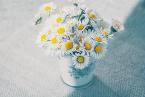bouquet of daisies in a vase drawing