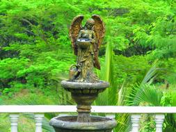 Source Garden