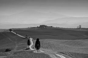 black and white, cypress trees along the road in Italy